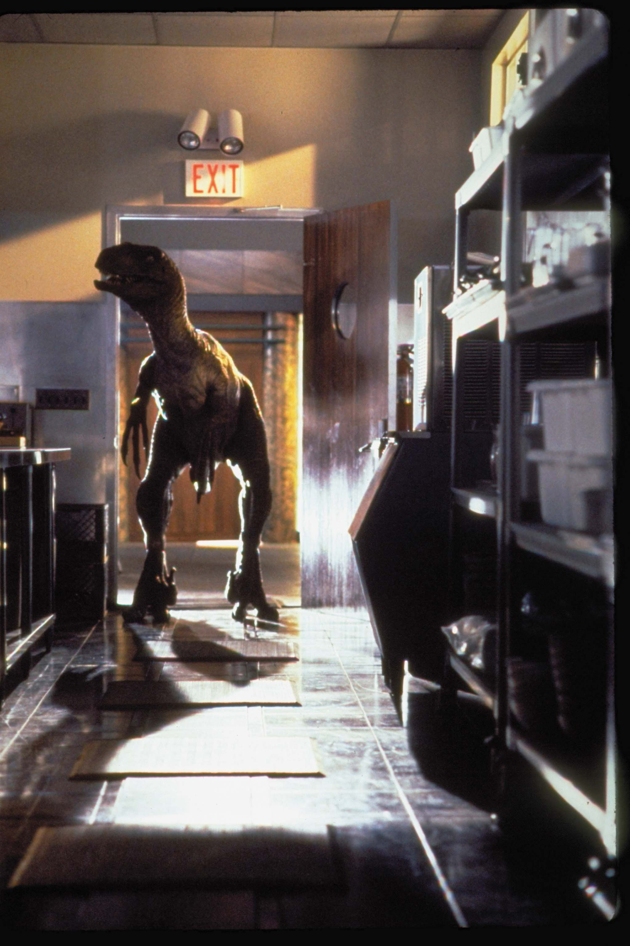 jurassicpark_15%ef%bc%88%e3%82%a4%e3%83%b3%e3%83%88%e3%82%99%e3%83%a9%e3%83%95%e3%82%9a%e3%83%88%e3%83%ab%e3%81%ae%e7%bf%92%e6%80%a7%e3%81%ab%e5%bd%b1%e9%9f%bf%e3%81%97%e3%81%a6%e3%81%84%e3%82%8b