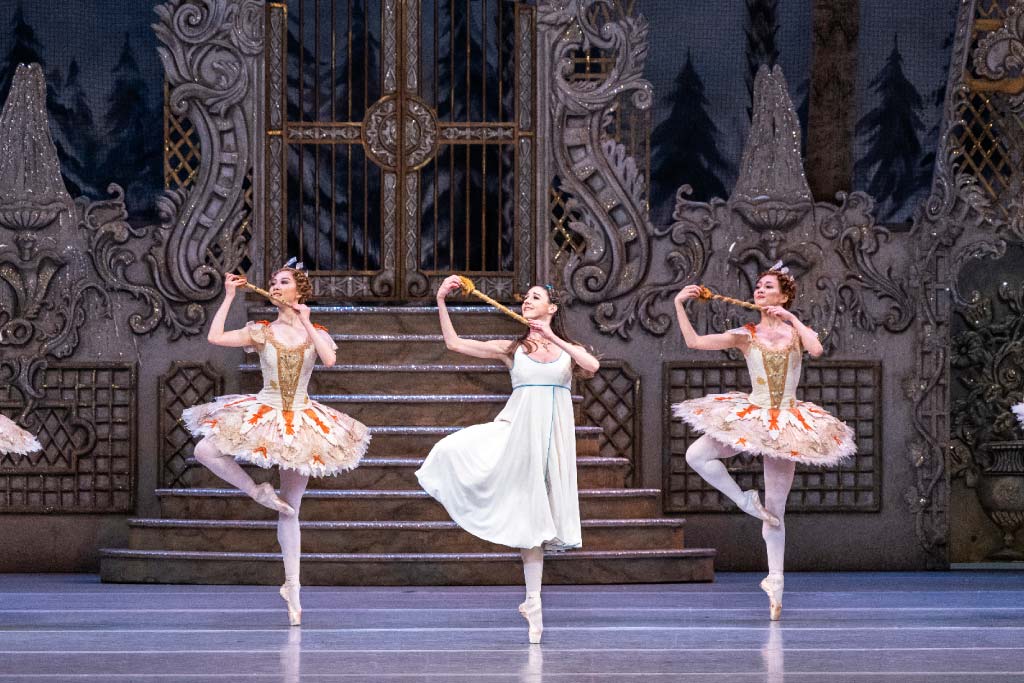 英国ロイヤル・バレエ ザ・コレクションBOX[白鳥の湖、くるみ割り人形  